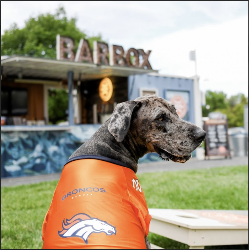 10 Dog Friendly Patios in the Denver Area | 2024