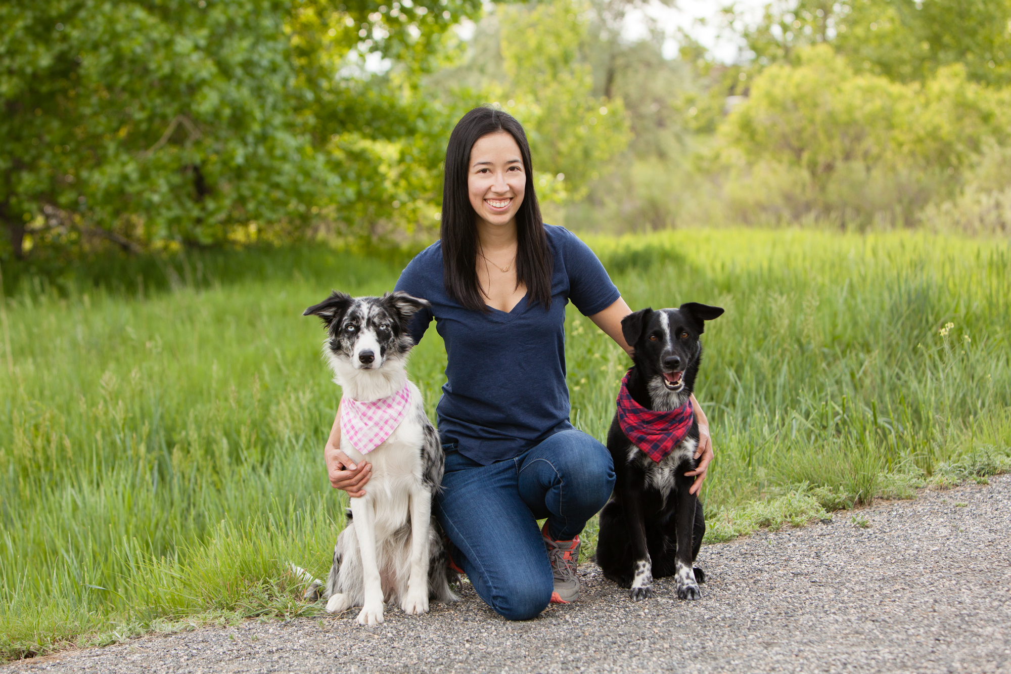 Border collie and cattle dog trainer in denver, co
